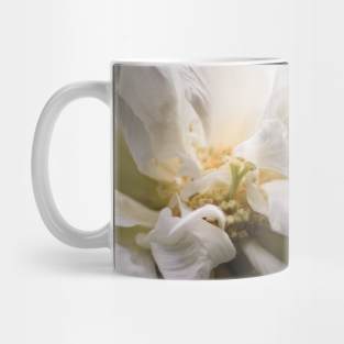 Hibiscus mutabilis flower closeup Mug